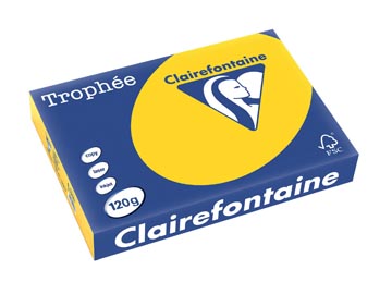 [E1206] A4 Trophee (120Gr, Goudgeel, 250)
