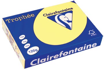 [1207C] A4 TROPHEE (120GR, CITROENGEEL, 250)