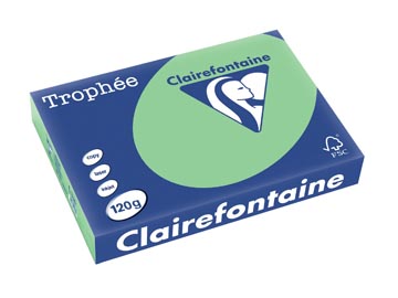 [E*1228] A4 TROPHEE (120GR, NATUURZE, 250)