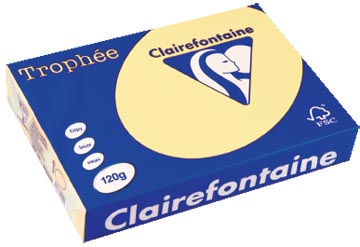 [1248C] A4 TROPHEE (120GR, GEEL, 250)