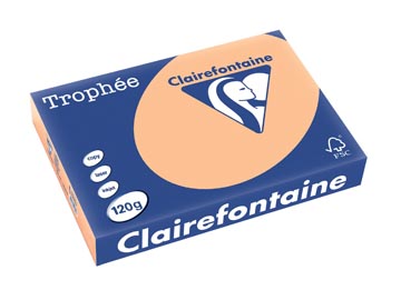 [E*1275] A4 TROPHEE (120GR, ABRIKOOS, 250)