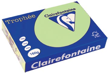 [E2635] A4 TROPHEE (160GR, GROEN, 250)