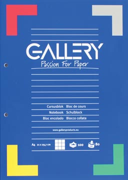 [01533] Gallery cursusblok, ft A4, 80 g/m², 2-gaatsperforatie, geruit 5 mm, 100 vel