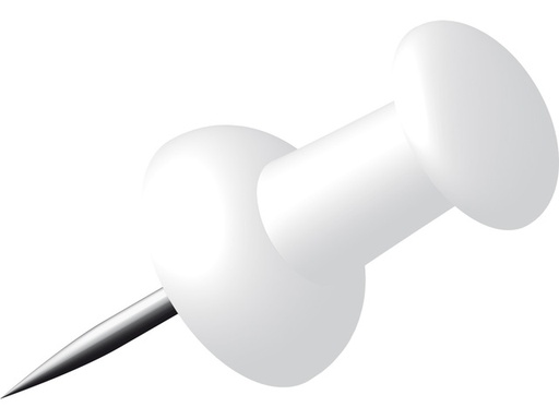 [999W] Doosje 40 Push Pins (Wit)