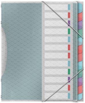 [626256] E.Laf Colour'Ice Sorteermap (12)