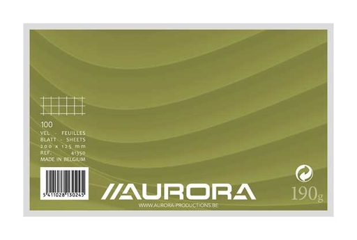 [41350] Fiches (125X200Mm, Wit, Geruit)