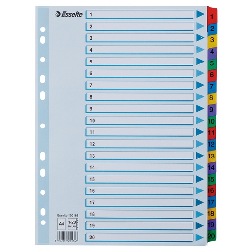 [100163] index luxe mylar plus a4 (cijfers 1-20)