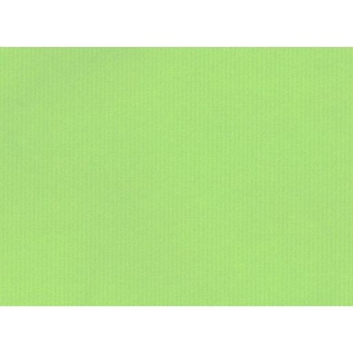 [30010128] Kraftzak 80gr (19+8X21Cm, Lime, gelijnd, gedraaide handgrepen, 50 stuks)