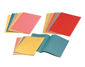 [2103402] INLEGMAP (80GR, A4, BLAUW, 250 STUKS)