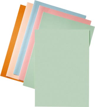 [2103408] Inlegmap (80Gr, A4, Groen, 250 Stuks)