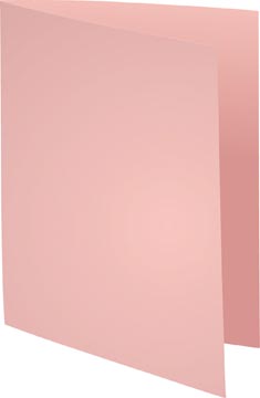 [E420003E] Inlegmap (180Gr, 24X32Cm, Roze, 100)