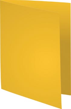 [E*420005E] INLEGMAP (180GR, 24X32CM, GEEL, 100)