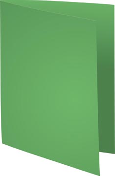 [E420013E] INLEGMAP (180GR, 24X32CM, GROEN, 100)