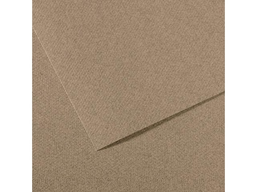 [C31033S120] Mi-Teintes 50X65Cm (Lichtrookgrijs )