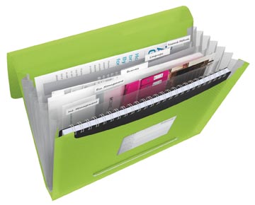 [624019] PROJECTMAP VIVIDA (GROEN)