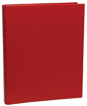 [7102R] RINGMAP FICHE ASSORTI KLEUREN (200X125MM)