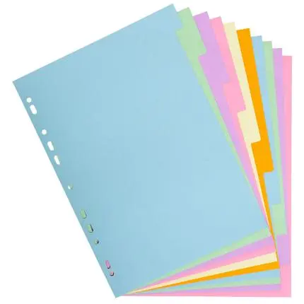 [1610E] Tabbladen Gerecycleerd Karton 170G - 10 Tabs - A4 - Geassorteerde Kleuren
