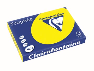 [1039RC] TROPHEE A3 160GR, ZONNEGEEL, 250