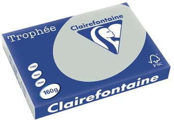 [E*1010] TROPHEE A3 160GR, LICHTGRIJS, 250