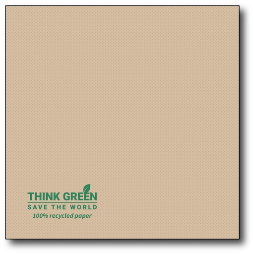 [G699] Point 2 Point Servetten, 25X25 Cm, 1/4, 125St, 100% Recycle