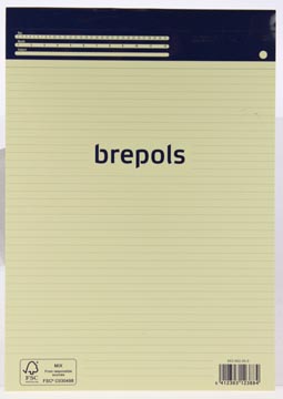 [8539023] Brepols Notitieboekje