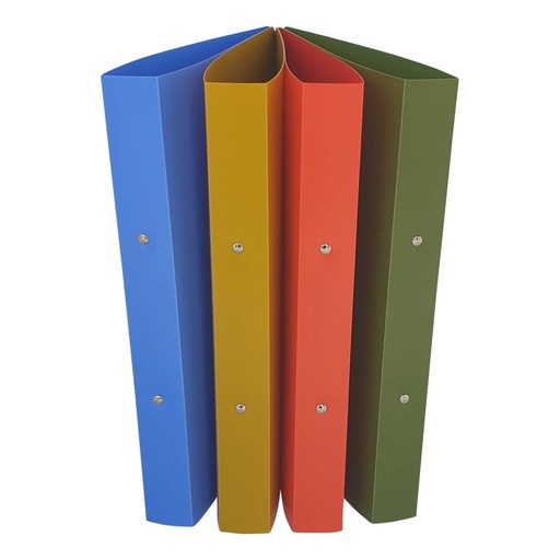 [366210] RINGMAP A4 2R-25PP NATURE ASSORTI