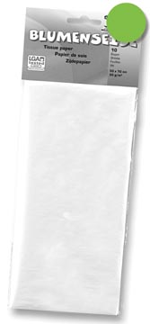 [90051F] ZIJDEPAPIER 50X70CM 26V LGR
