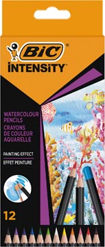 [511726] Aquarelpotlood Intensity X12