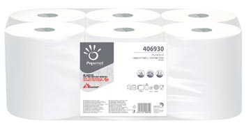 [416610] PAPERNET HANDDOEK CENTERF PK6