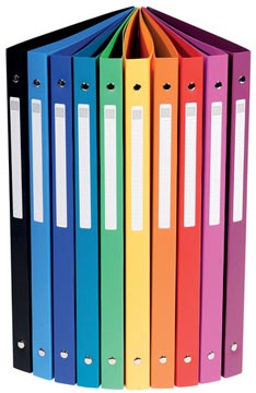 [51299E] ringmap 4r 15mm a4 ass