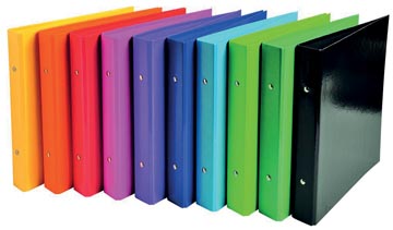 [51029E] iderama ringm 2,5cm 2r a5 ass