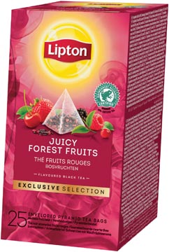 [46842] LIPTON EXC 25X BOSVRUCHTEN