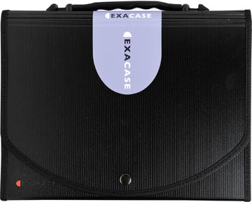 [55934E] voorordner 13 vakken