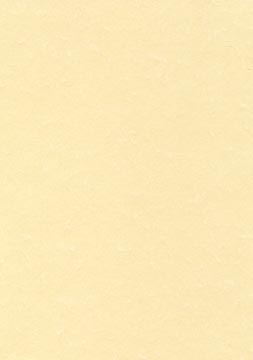 [PCL1677] thema a4 champagne 165g 50v