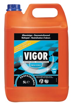 [874682] vigor allesreinig fresh for 5l