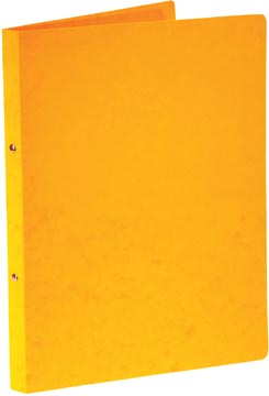 [364405] bronyl ringm a4 2r 16 mm gl