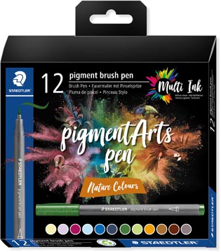 [371C123] pigment arts brushp x12 nature