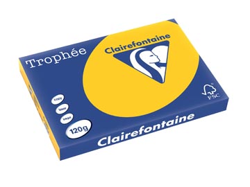 [E1361] Trophee A3 (120Gr, Zonnebloem, 250)
