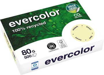 [40005C] evercolor a4 80g 500v geel