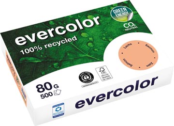 [40015C] evercolor a4 80g 500v zalm
