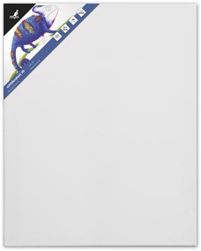 [K820011] kangaro spieraam 3d 40x50