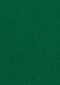 [14545] p.500 groen tekenpapier a4