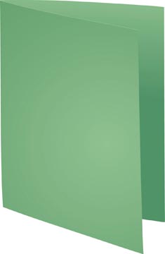 [420004E] dossierm. foldyne groen pk 100