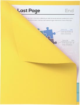 [421005E] dossierm. foldyne ge pk 100