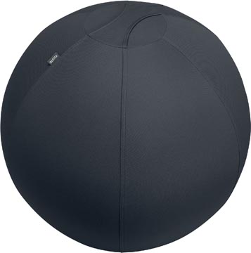 [6543089] leitz ergo zitbal 75cm dgrs