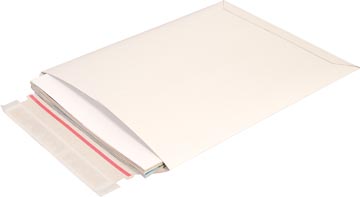 [530401] CLEVERPK ENVELOP B4 250X353