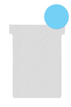 [V20020B] p.100 t-fichen ind.2 blauw val