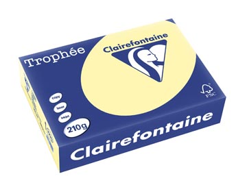 [2220PC] trophee a4 210g 250v kanarie