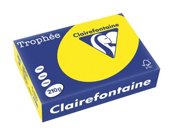 [2210PC] Clairefontaine Trophée Intens, gekleurd papier, A4, 210 g, 250 vel, zonnegeel