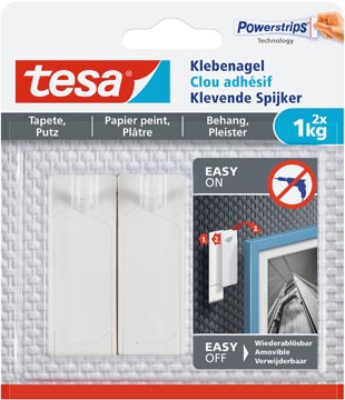 [7777300] tesa kleefspijker 1kg bl2